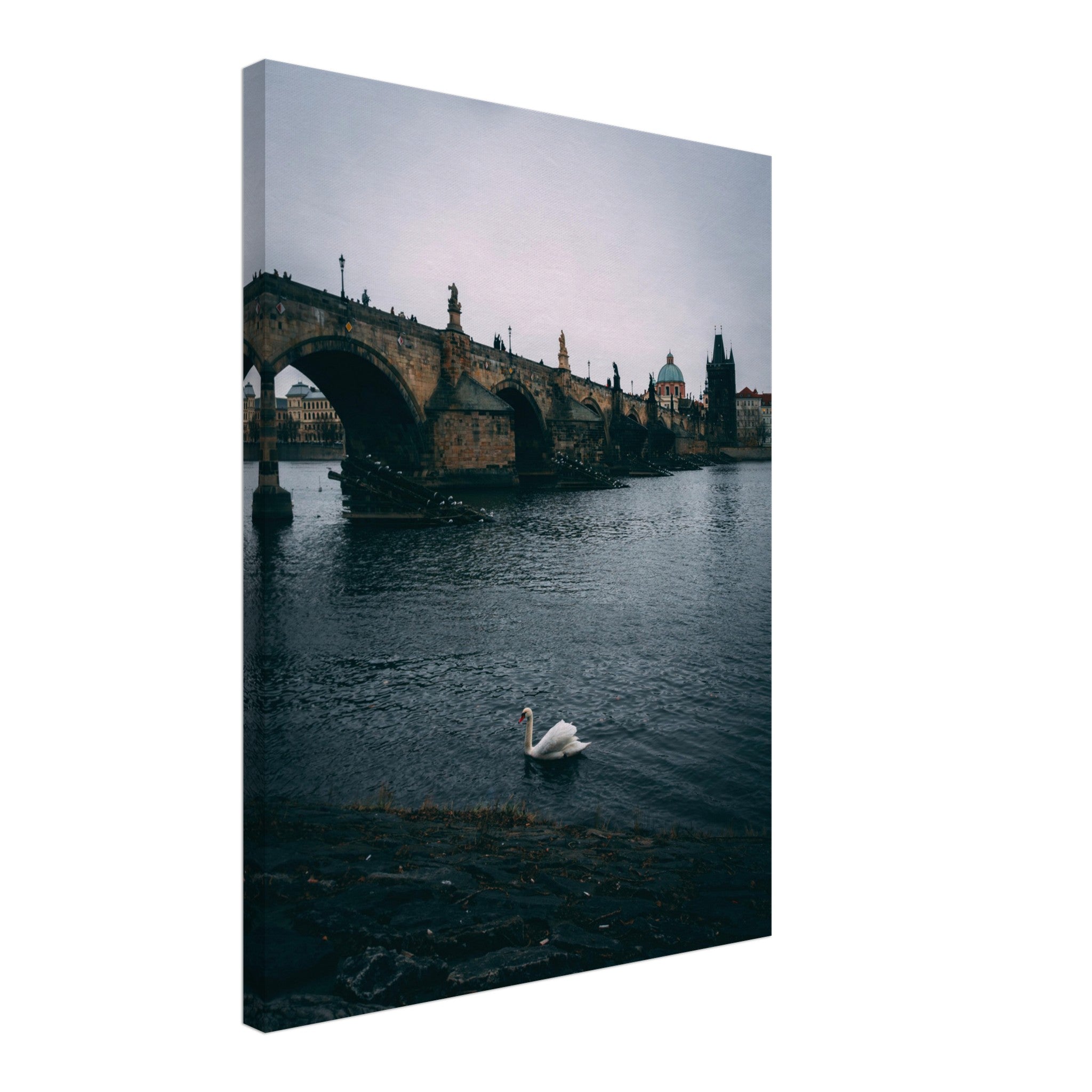 Glide with the Swan: The Majestic Charles Bridge of Prague | Canvas