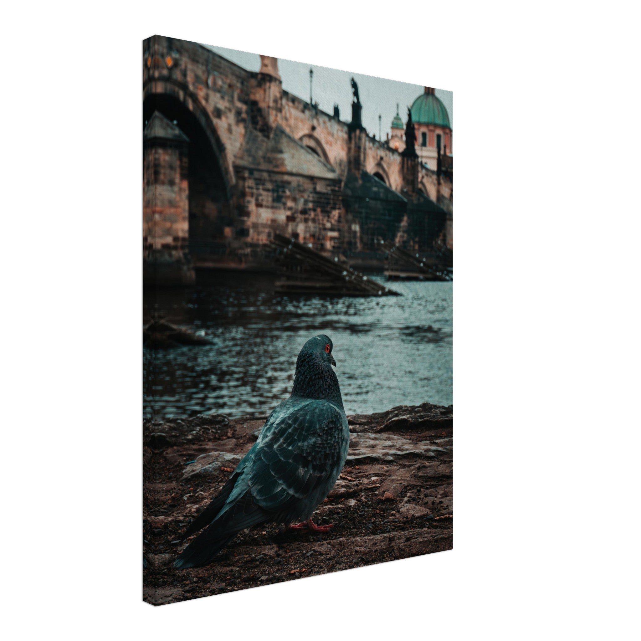 Charles Bridge Charm: A Pigeon's Perspective in Prague | Canvas