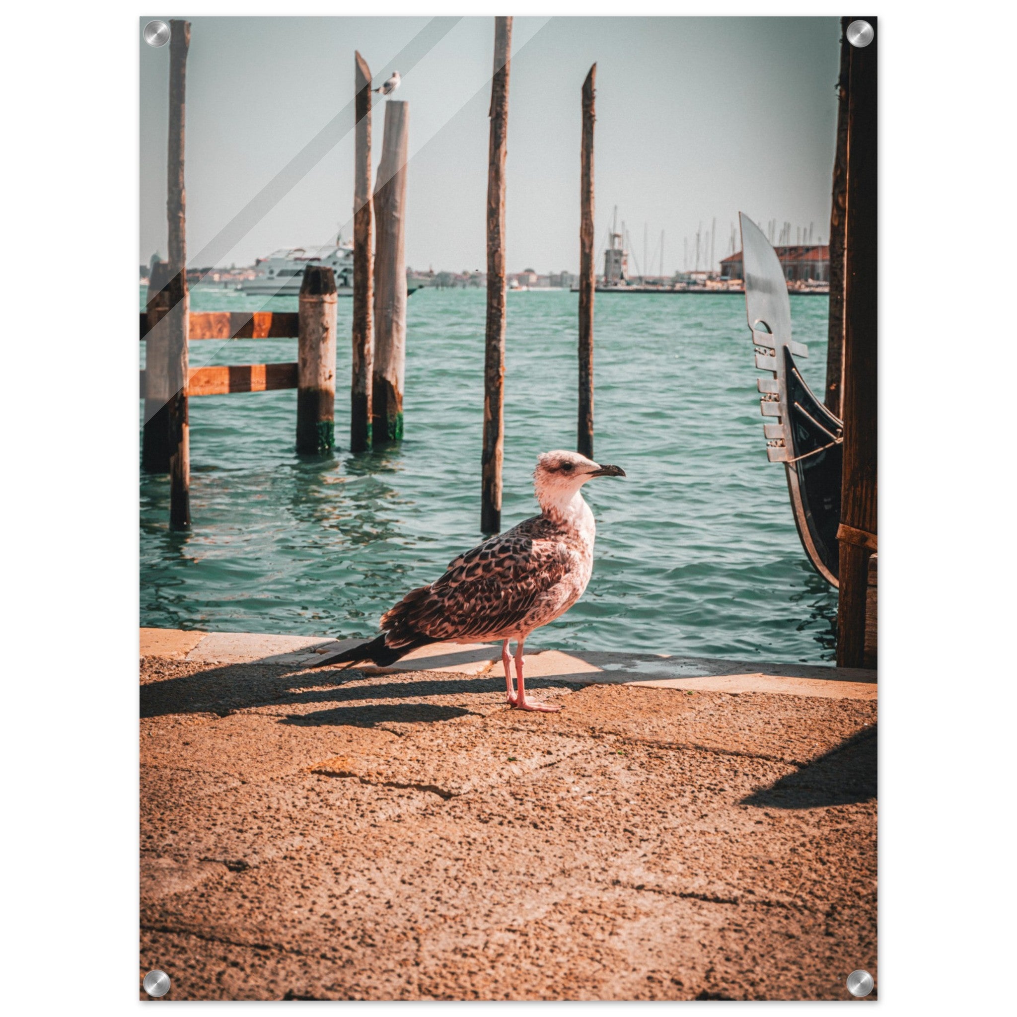 8b818488-f6ed-4b63-b86c-2304e712d8b1