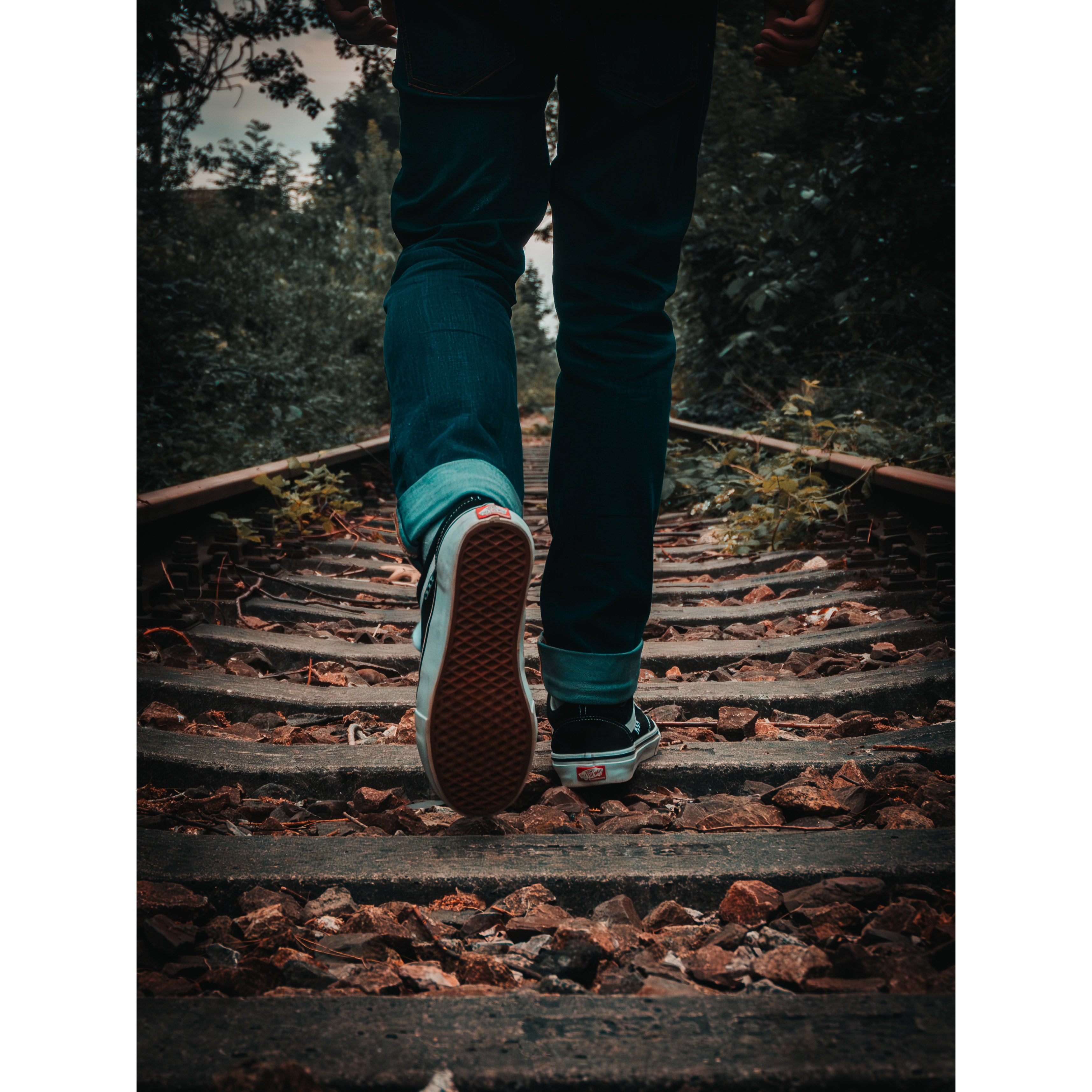 Abandoned Railway Walk | Canvas