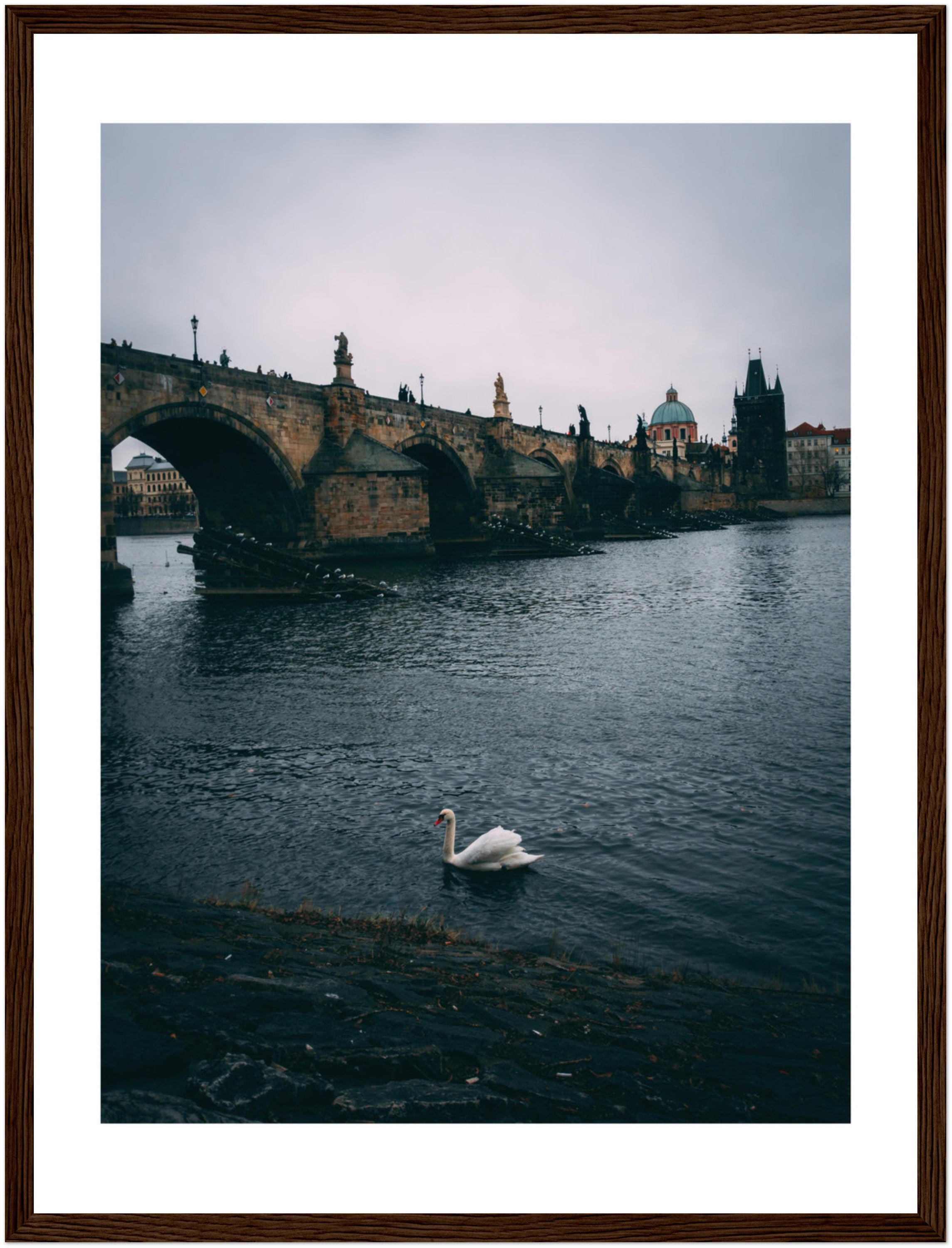 Glide with the Swan: The Majestic Charles Bridge of Prague | Poster