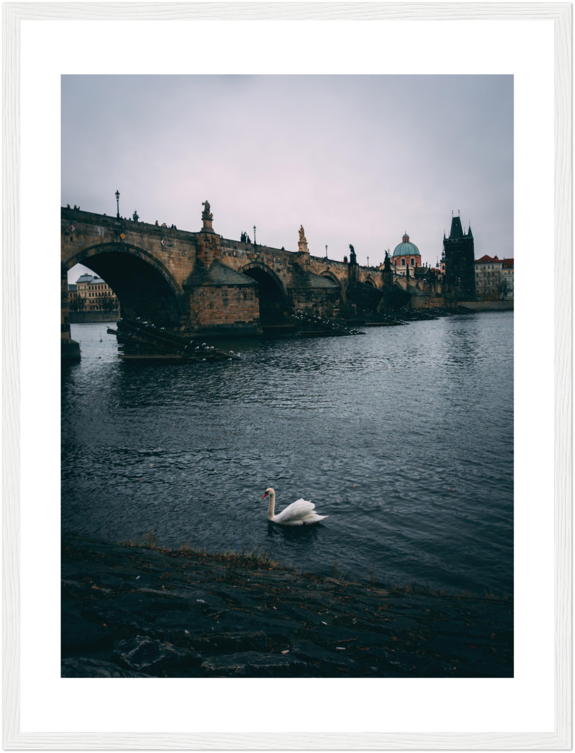 Glide with the Swan: The Majestic Charles Bridge of Prague | Poster