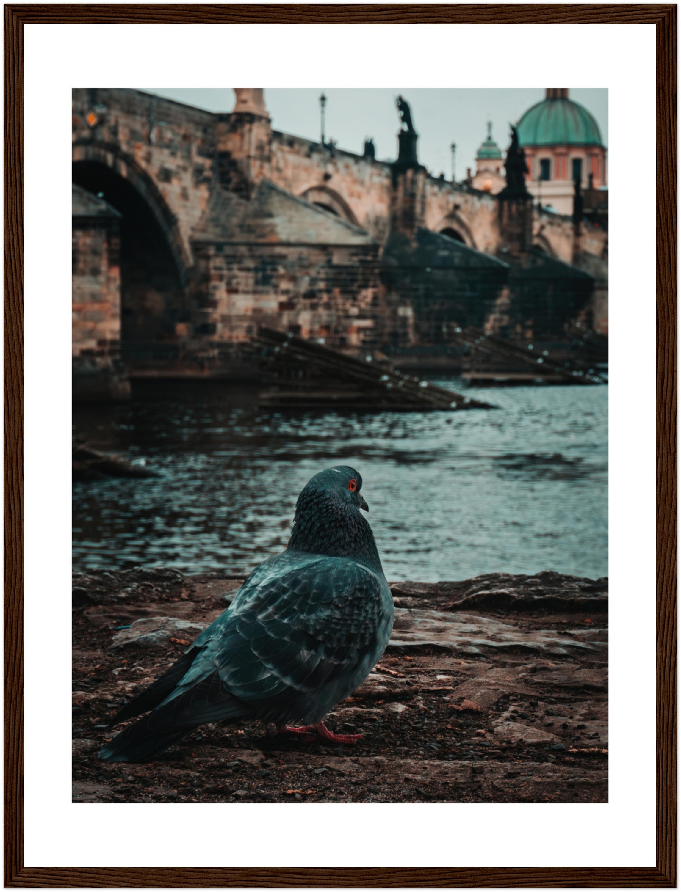Charles Bridge Charm: A Pigeon's Perspective in Prague | Poster