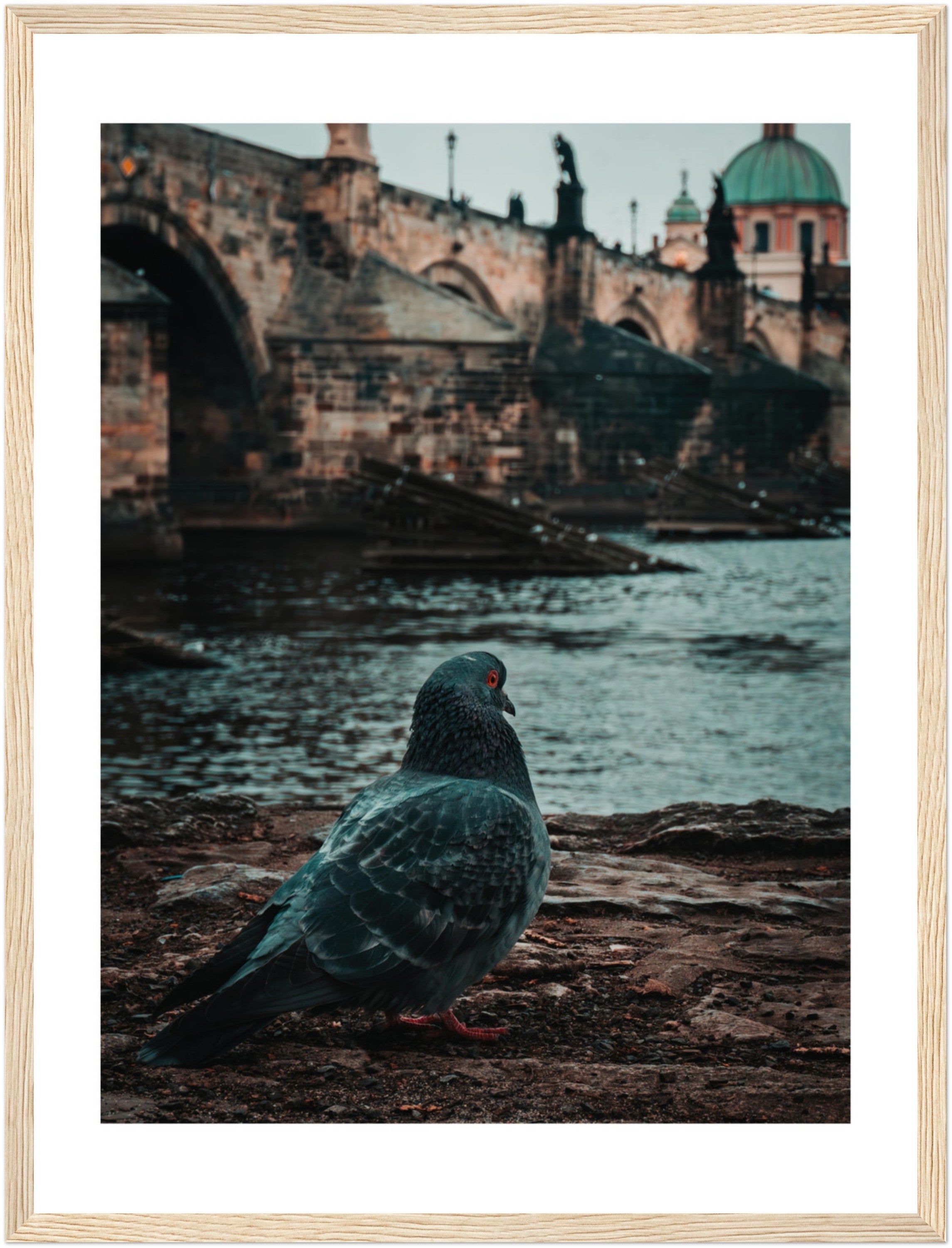 Charles Bridge Charm: A Pigeon's Perspective in Prague | Poster