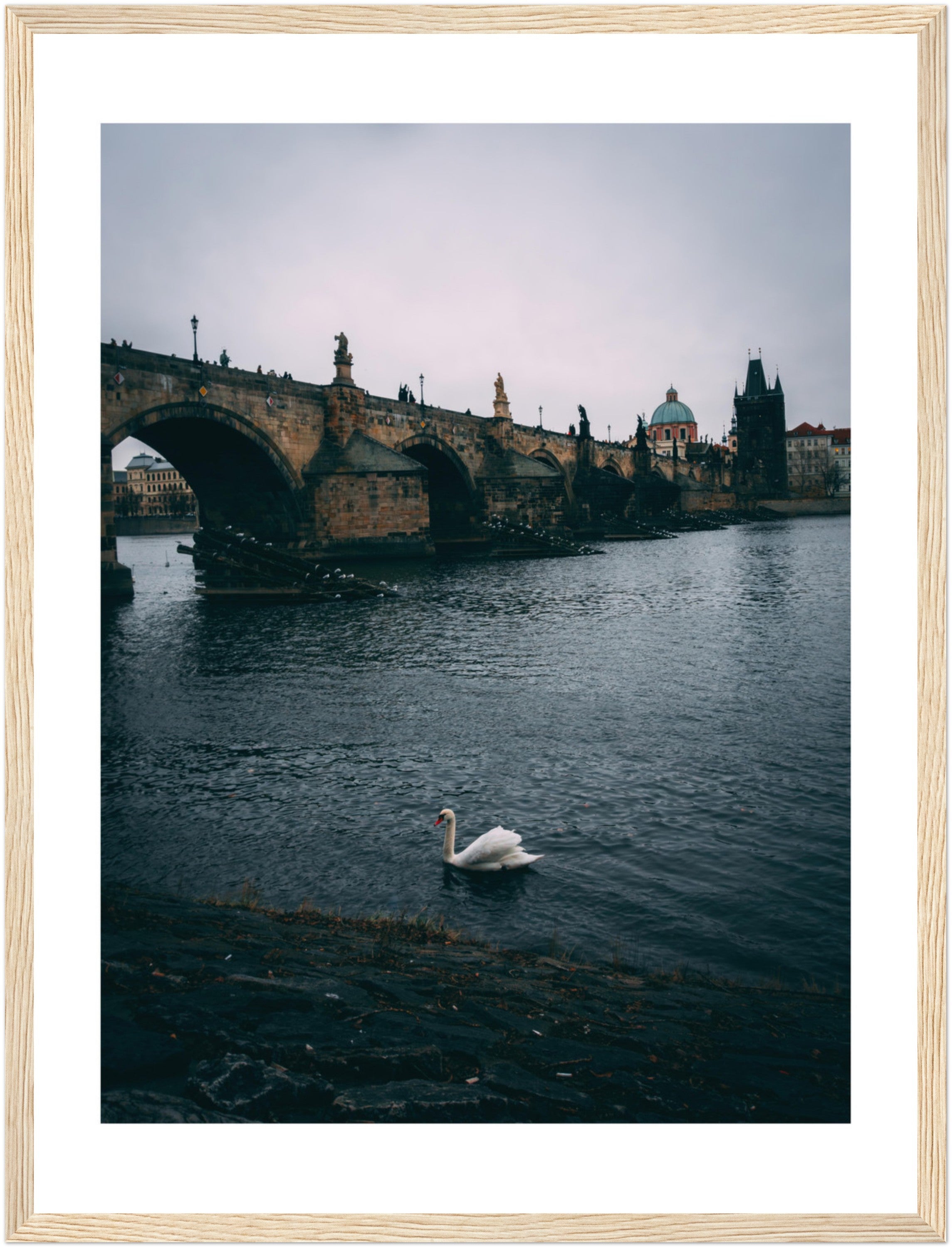Glide with the Swan: The Majestic Charles Bridge of Prague | Poster