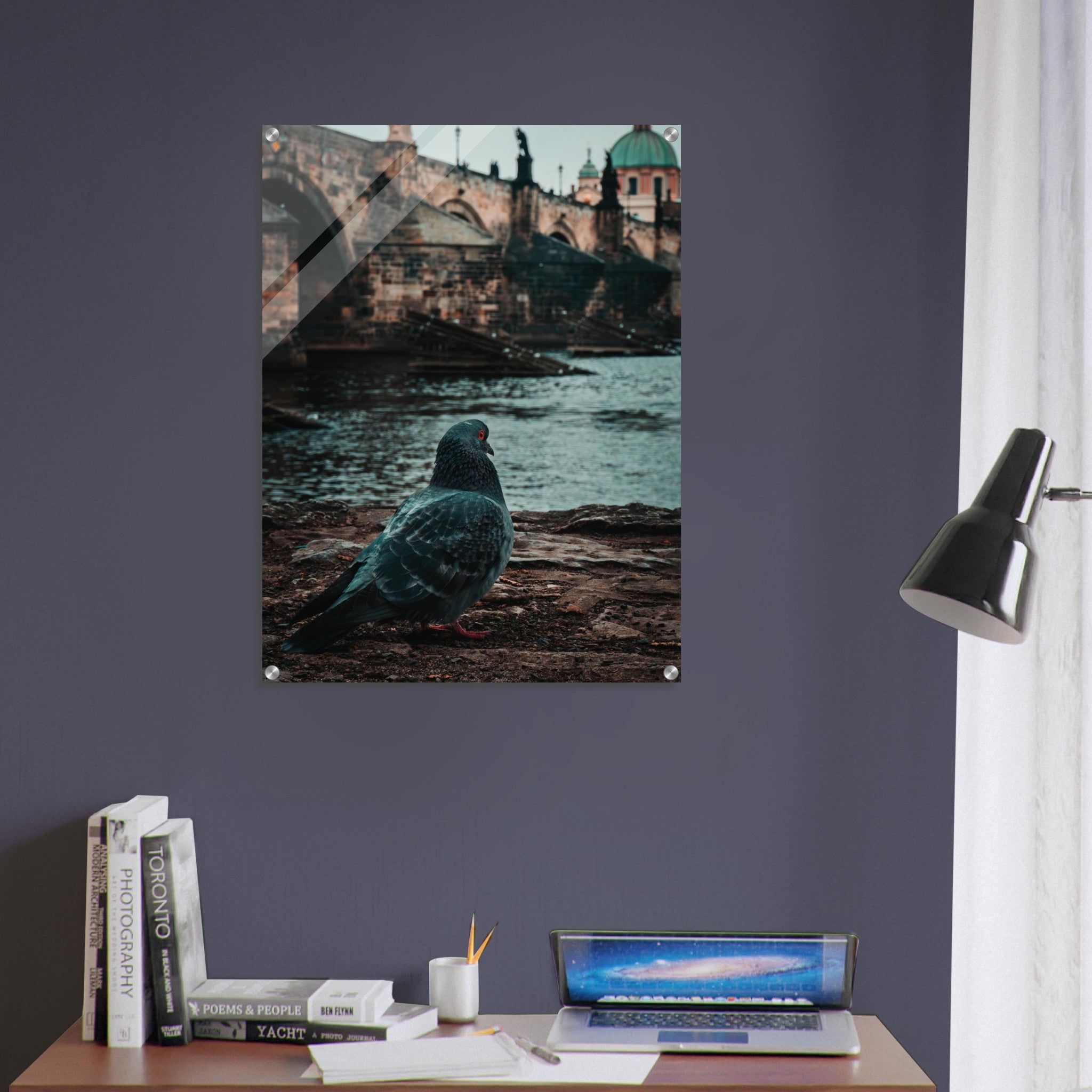 Charles Bridge Charm: A Pigeon's Perspective in Prague | Acrylic Print