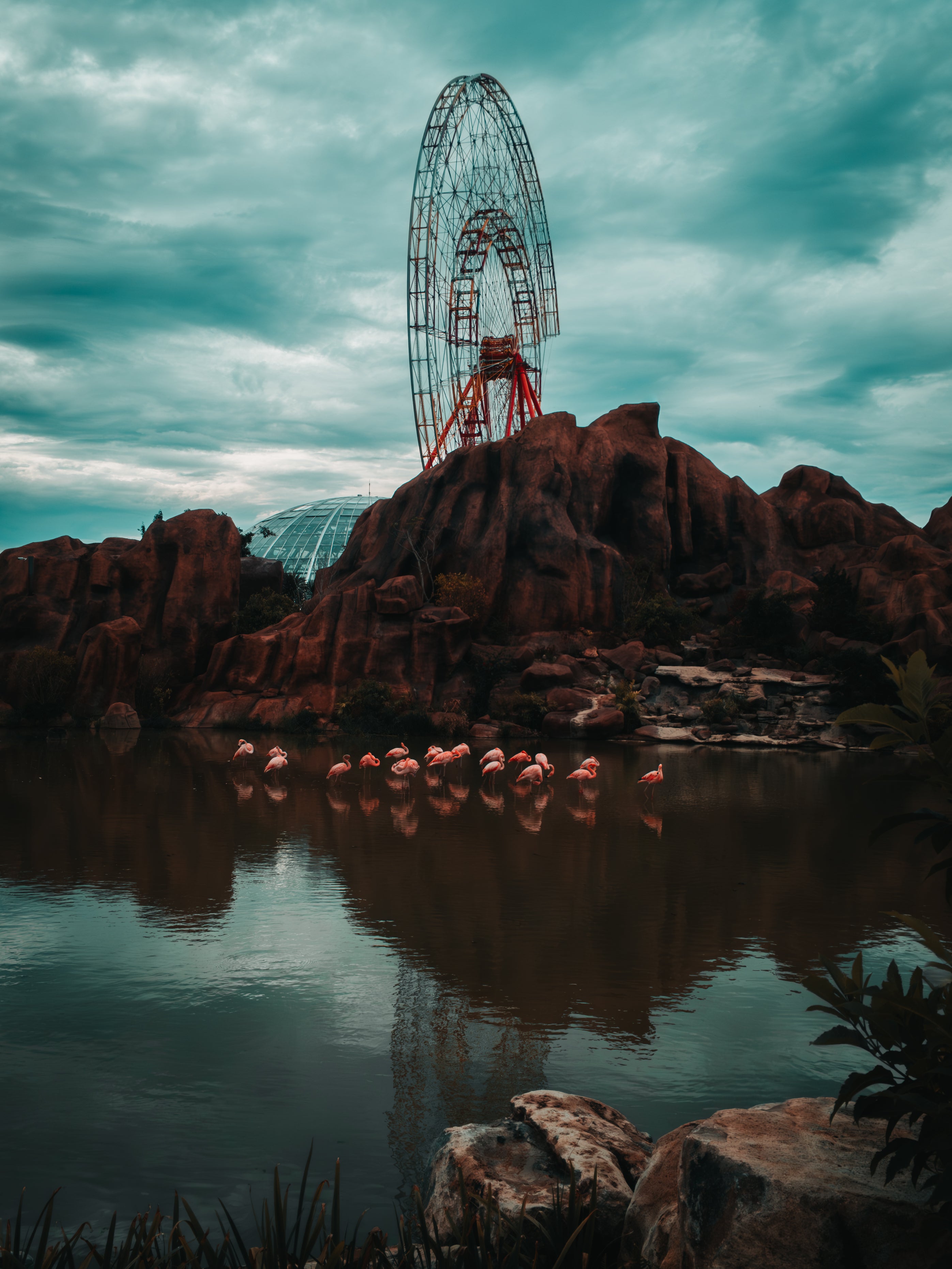 Vietnam's theme park:  Ferris Wheels and Flamingos in Vietnam | Poster