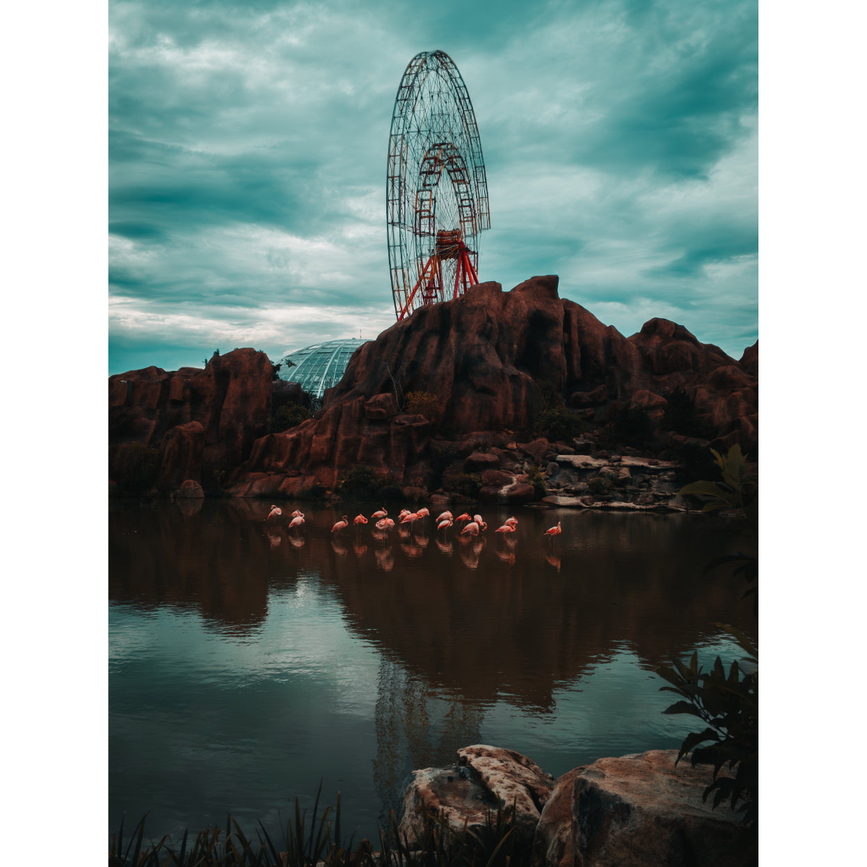Vietnam's theme park:  Ferris Wheels and Flamingos in Vietnam | Acrylic Print