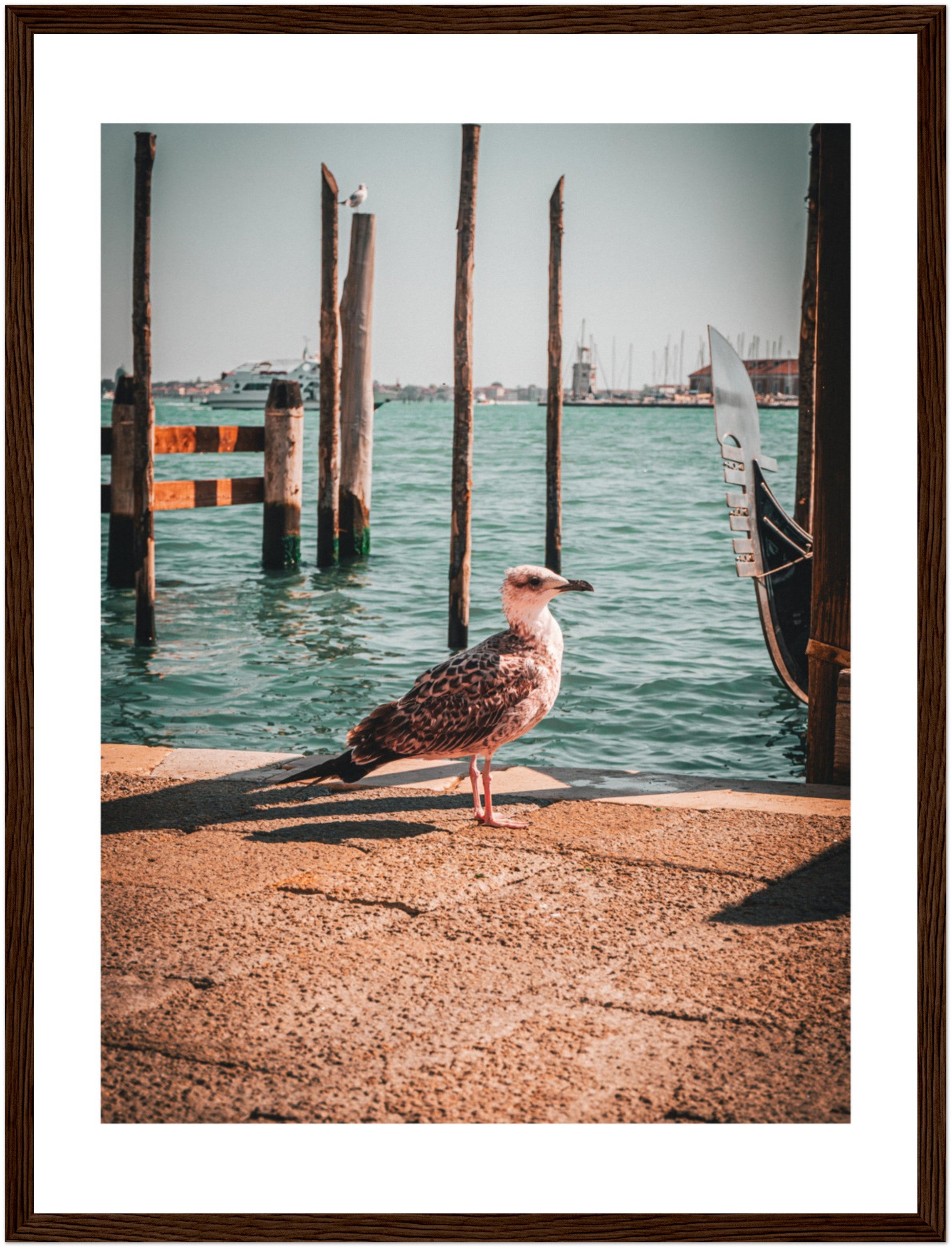 Seagull's Rest: Overlooking Venice's Waters | Poster