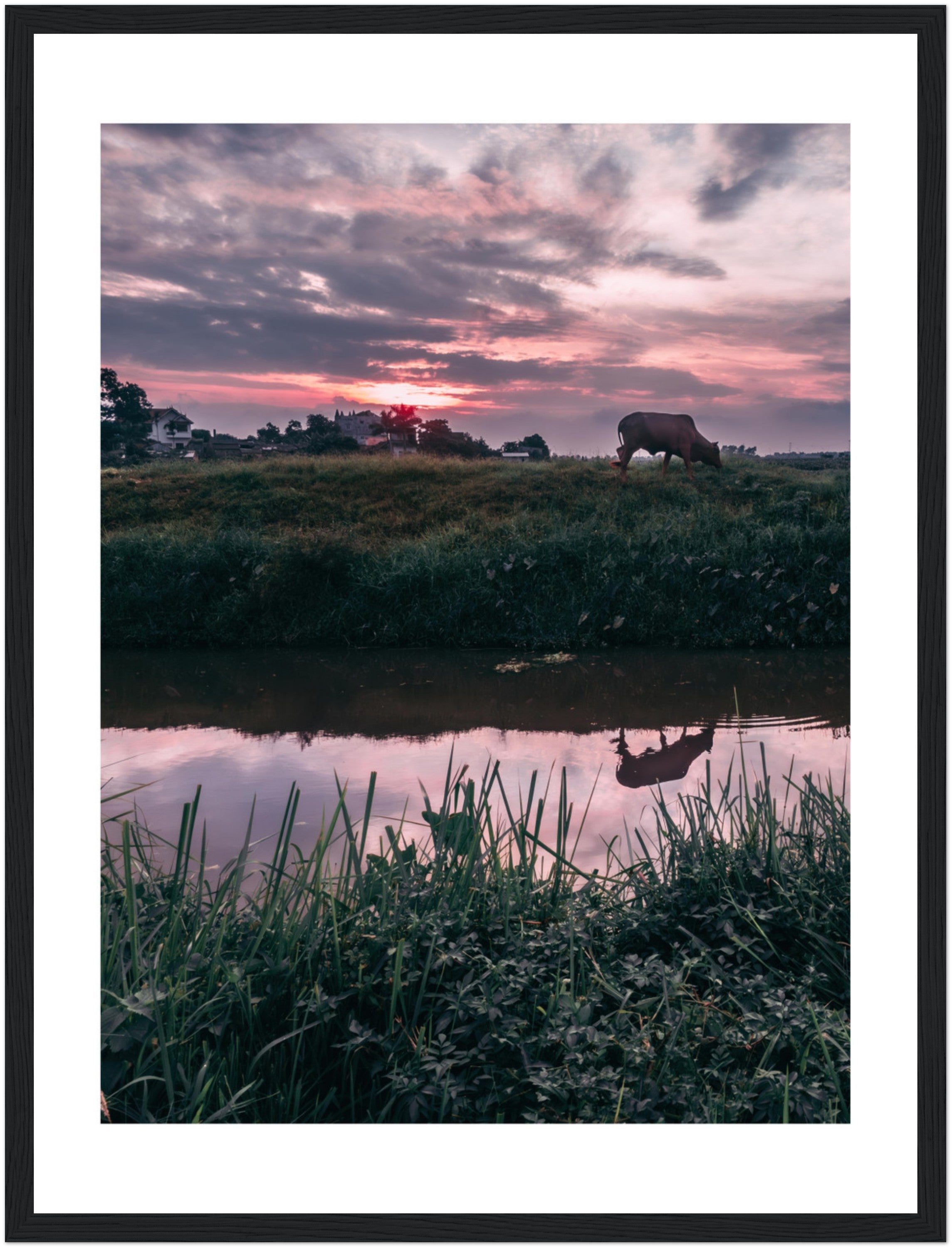 Vietnamese Countryside: A Cow, A River, and Endless Green | Poster