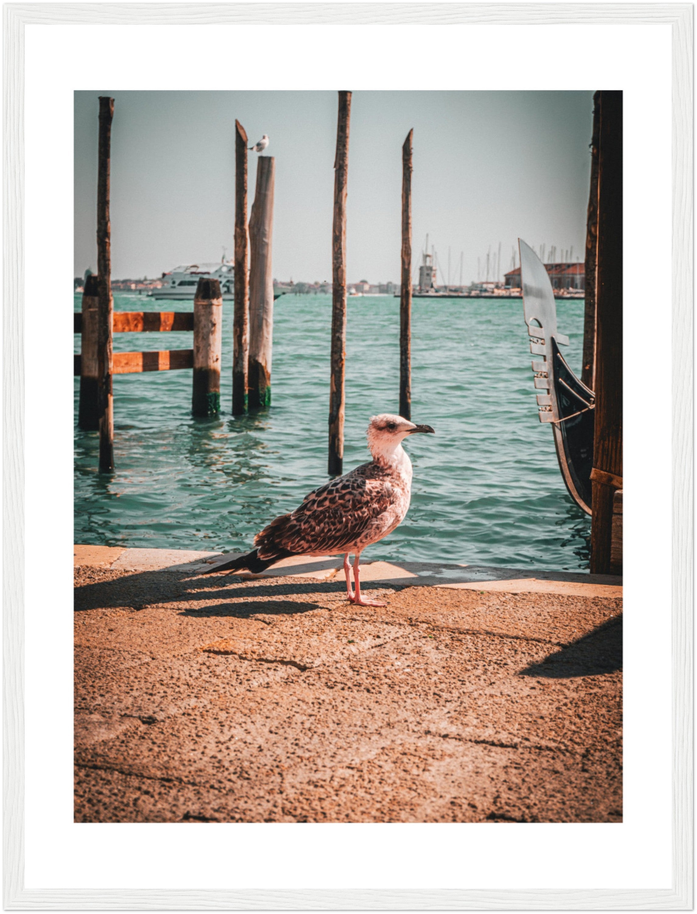 Seagull's Rest: Overlooking Venice's Waters | Poster