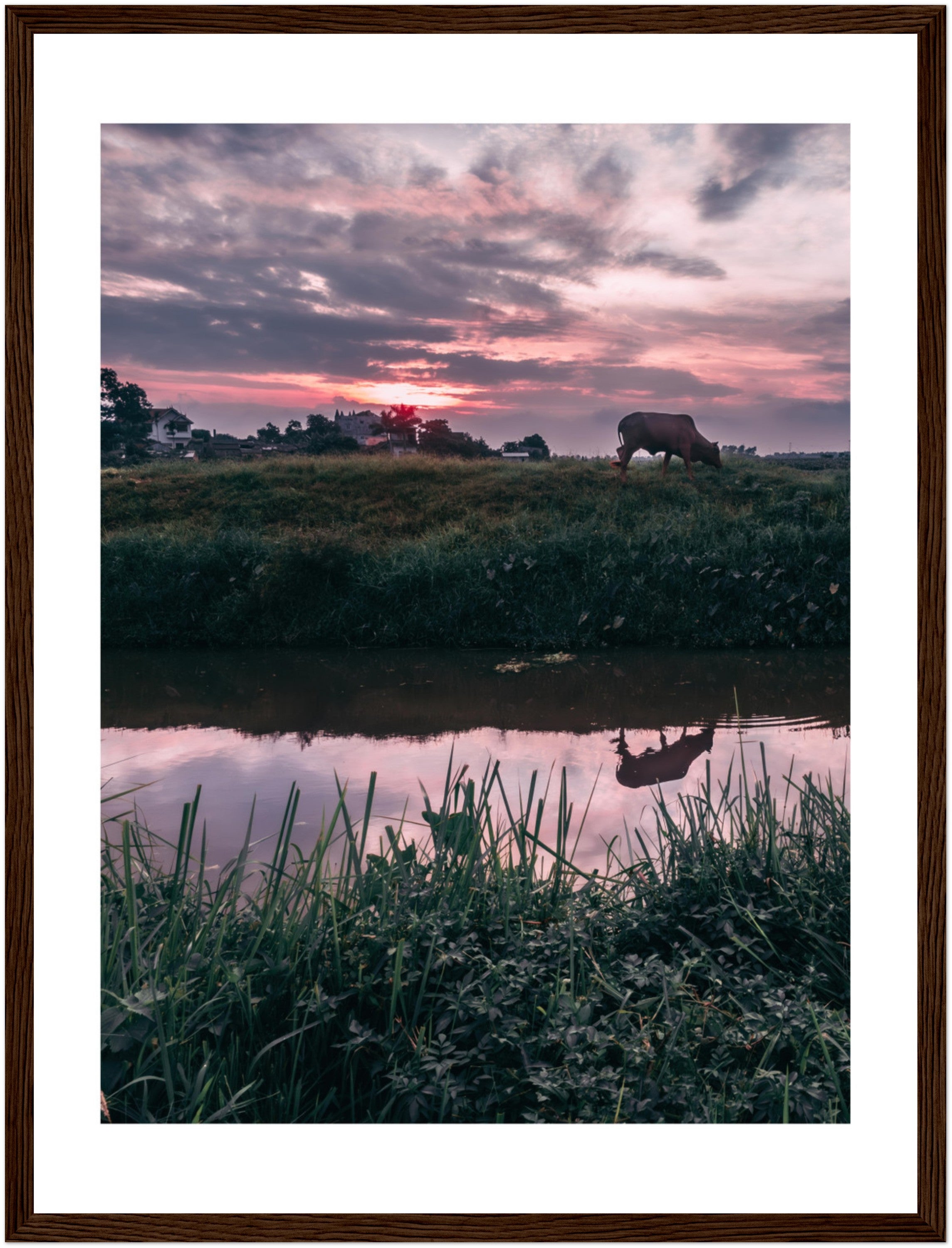 Vietnamese Countryside: A Cow, A River, and Endless Green | Poster