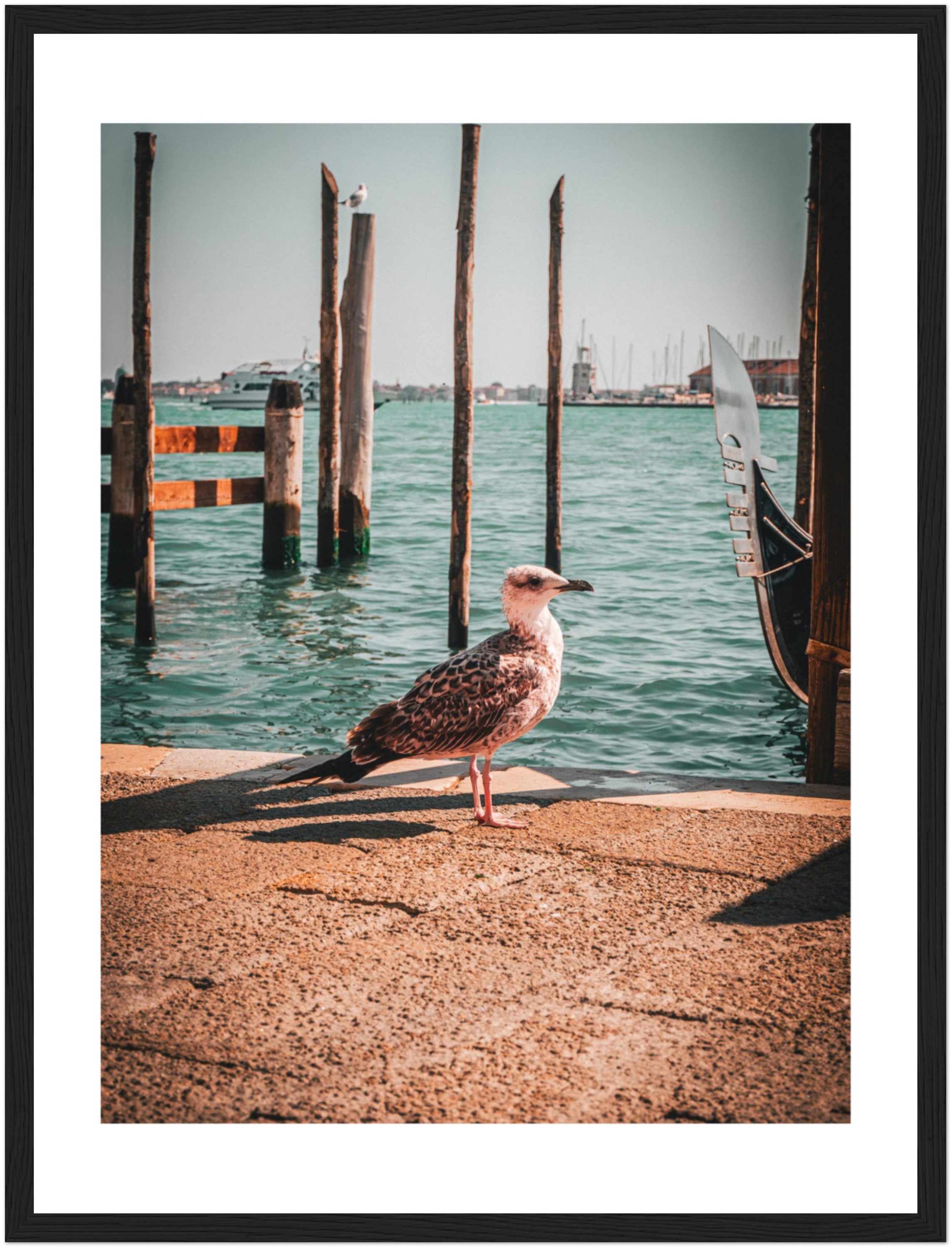 Seagull's Rest: Overlooking Venice's Waters | Poster