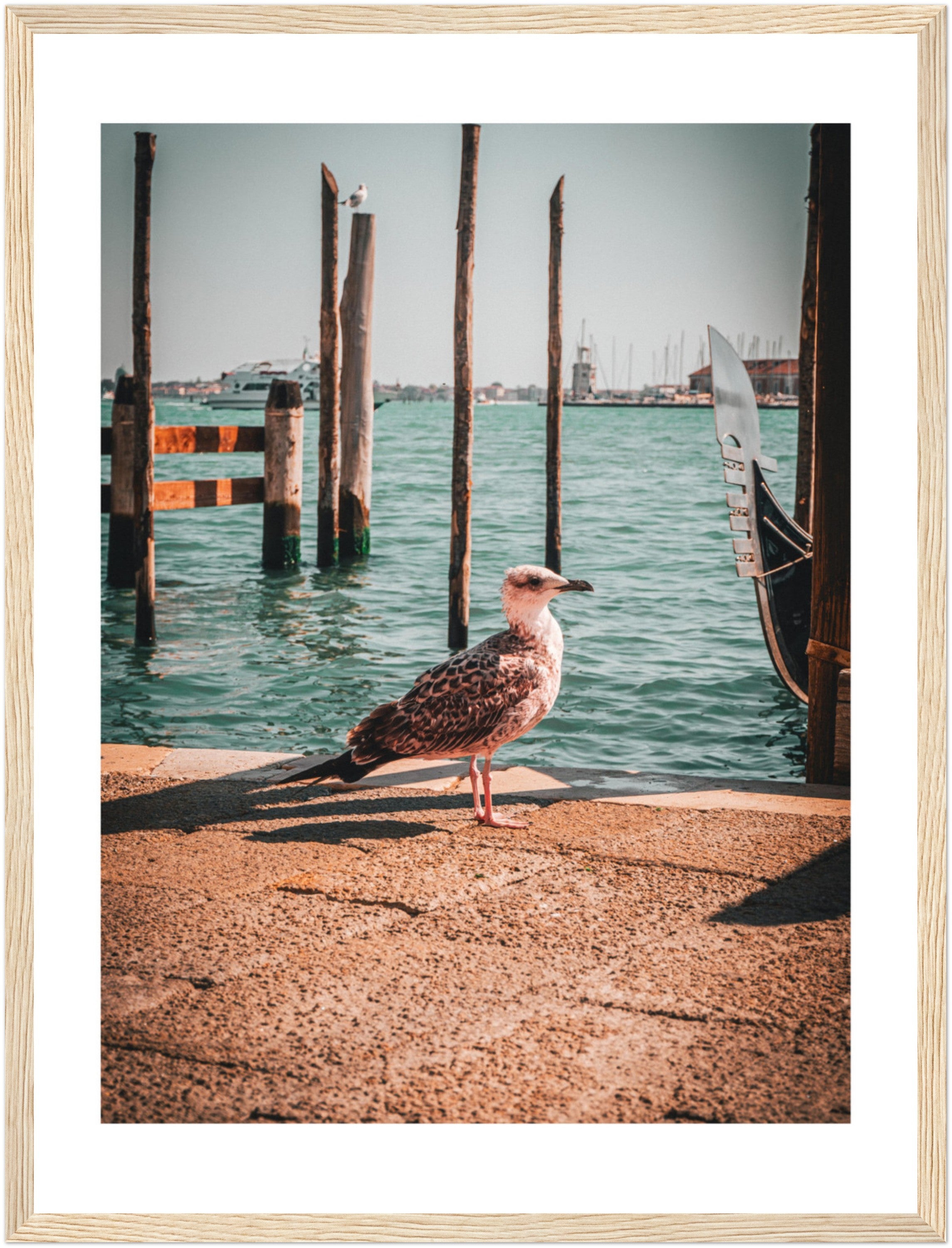 Seagull's Rest: Overlooking Venice's Waters | Poster