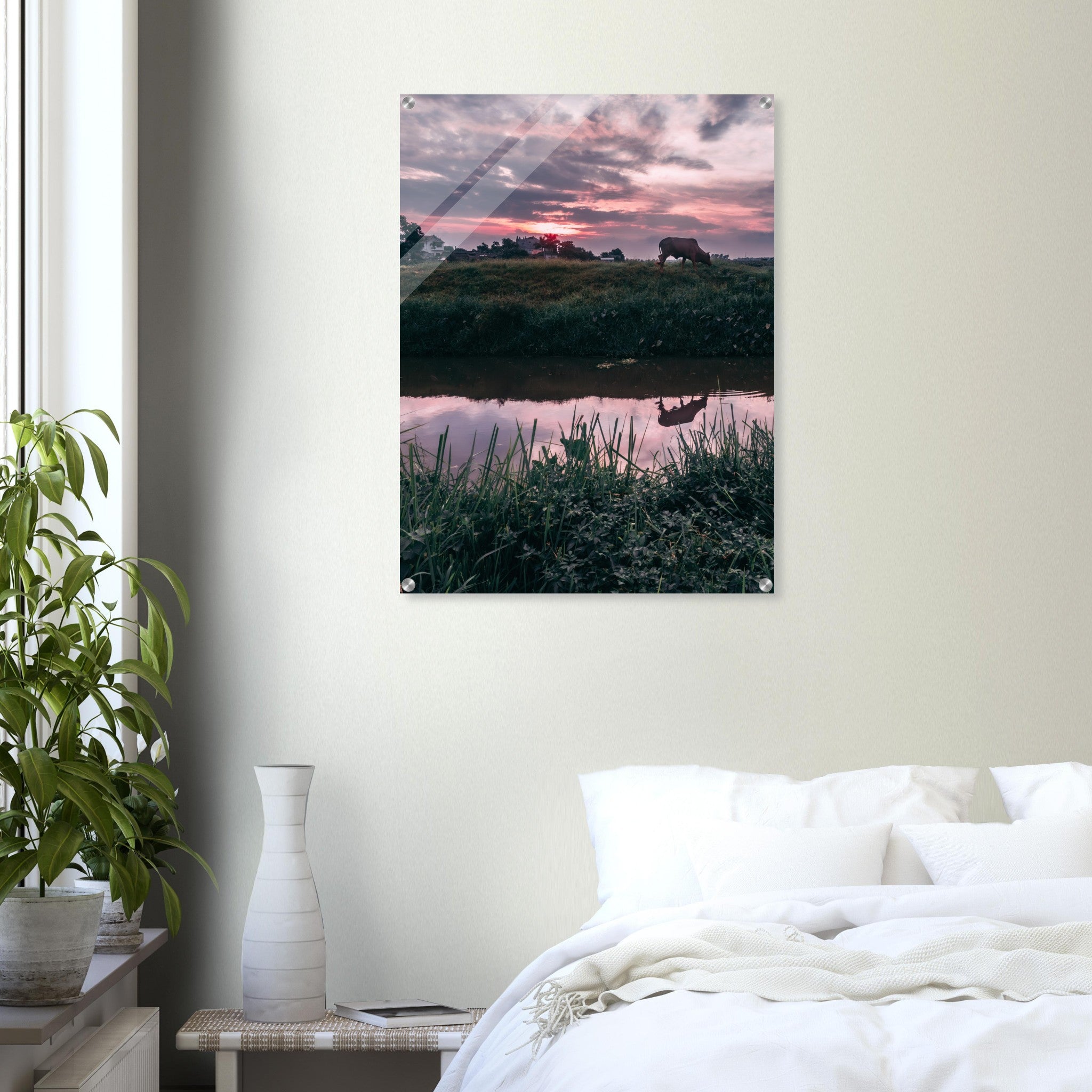 Vietnamese Countryside: A Cow, A River, and Endless Green | Acrylic Print