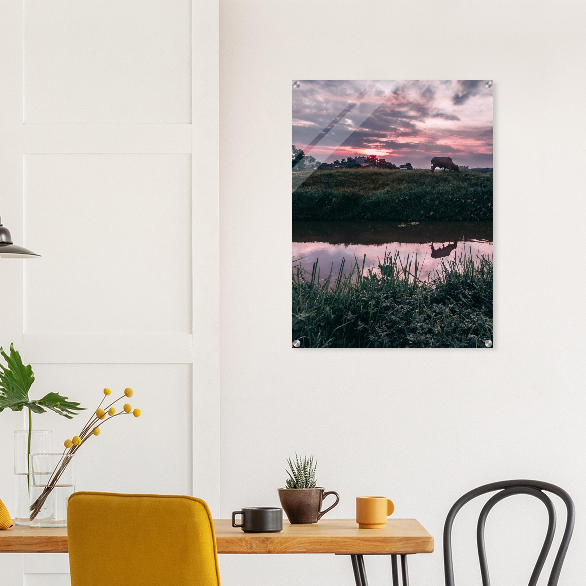 Vietnamese Countryside: A Cow, A River, and Endless Green | Acrylic Print
